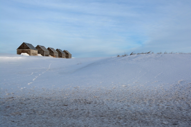 Sheds in winter, Alberta, Canada
